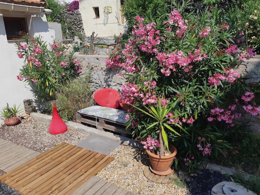 Haut De Villa Au Mont St Clair Vue Exceptionnelle Mer Et Foret Terrasses, Piscine, Petanque, Solarium Prives Σετ Εξωτερικό φωτογραφία