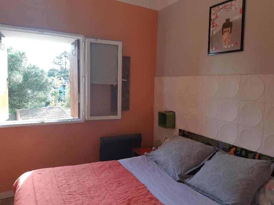 Haut De Villa Au Mont St Clair Vue Exceptionnelle Mer Et Foret Terrasses, Piscine, Petanque, Solarium Prives Σετ Εξωτερικό φωτογραφία