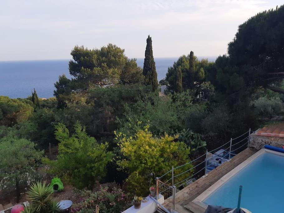 Haut De Villa Au Mont St Clair Vue Exceptionnelle Mer Et Foret Terrasses, Piscine, Petanque, Solarium Prives Σετ Εξωτερικό φωτογραφία