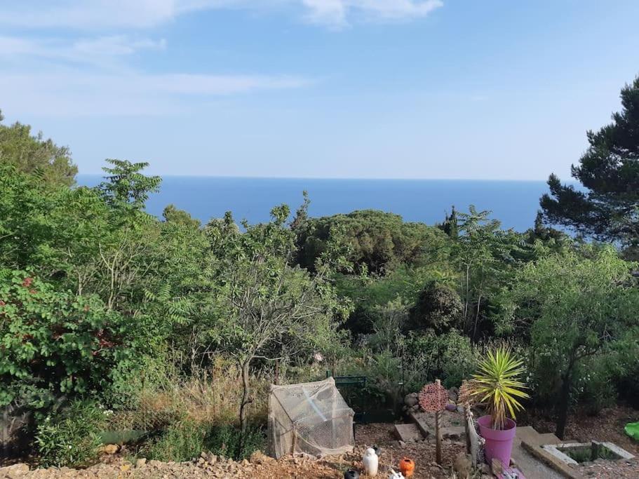 Haut De Villa Au Mont St Clair Vue Exceptionnelle Mer Et Foret Terrasses, Piscine, Petanque, Solarium Prives Σετ Εξωτερικό φωτογραφία